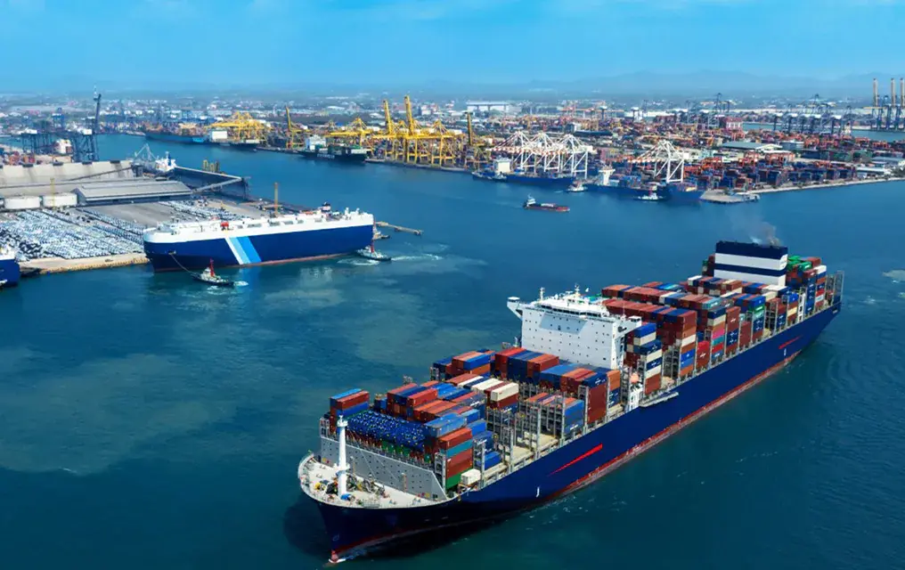 Shipping Agency & Logistics